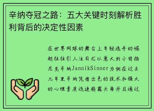 辛纳夺冠之路：五大关键时刻解析胜利背后的决定性因素