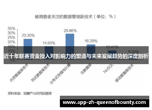 近十年联赛资金投入对影响力的塑造与未来发展趋势的深度剖析