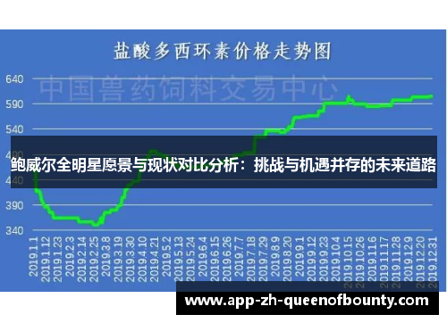 鲍威尔全明星愿景与现状对比分析：挑战与机遇并存的未来道路